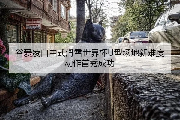 谷爱凌自由式滑雪世界杯U型场地新难度动作首秀成功