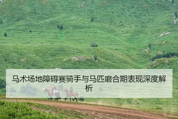 马术场地障碍赛骑手与马匹磨合期表现深度解析